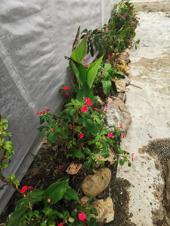 Dreamcatcher Homestay, Kundasang Ranau Exterior photo