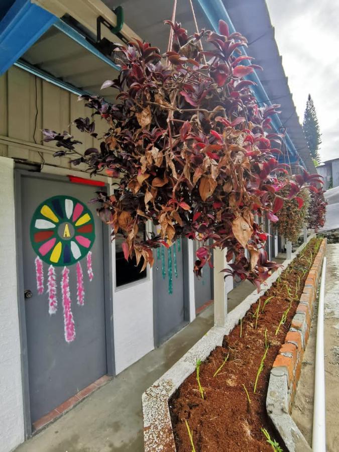 Dreamcatcher Homestay, Kundasang Ranau Exterior photo